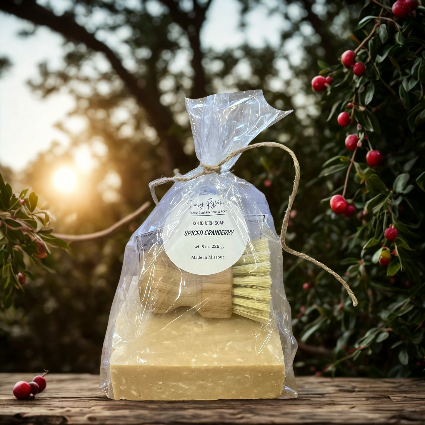 Solid Dish Soap Gift Set